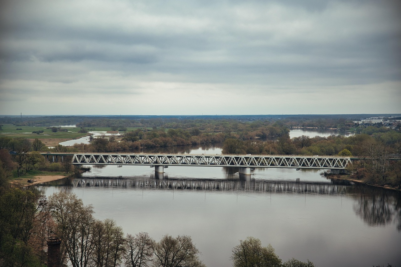 Approaches to the Professional Reflections of Argentine and Mexican soldiers  (1896-1911). The cases of José E. Rodríguez and Miguel Ruelas