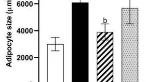 Yacon Flour: A Functional Food Ingredient with Impact on the Adipose 2 Tissue Remodeling of Obese Rats