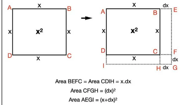 A Topological Reassessment of Differential and Integral Calculus beyond Newtonian Frame Works