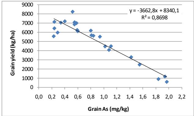 Presence of Arsenic in Argentinian Rices. Strategies to Minimize Them