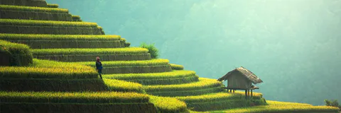 Governance Framework for Farm Tourism in Camarines Sur