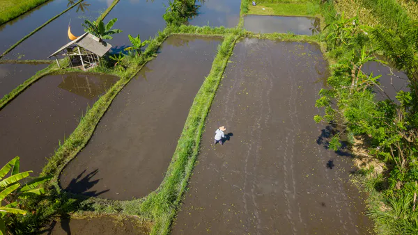 Governance Framework for Farm Tourism in Camarines Sur