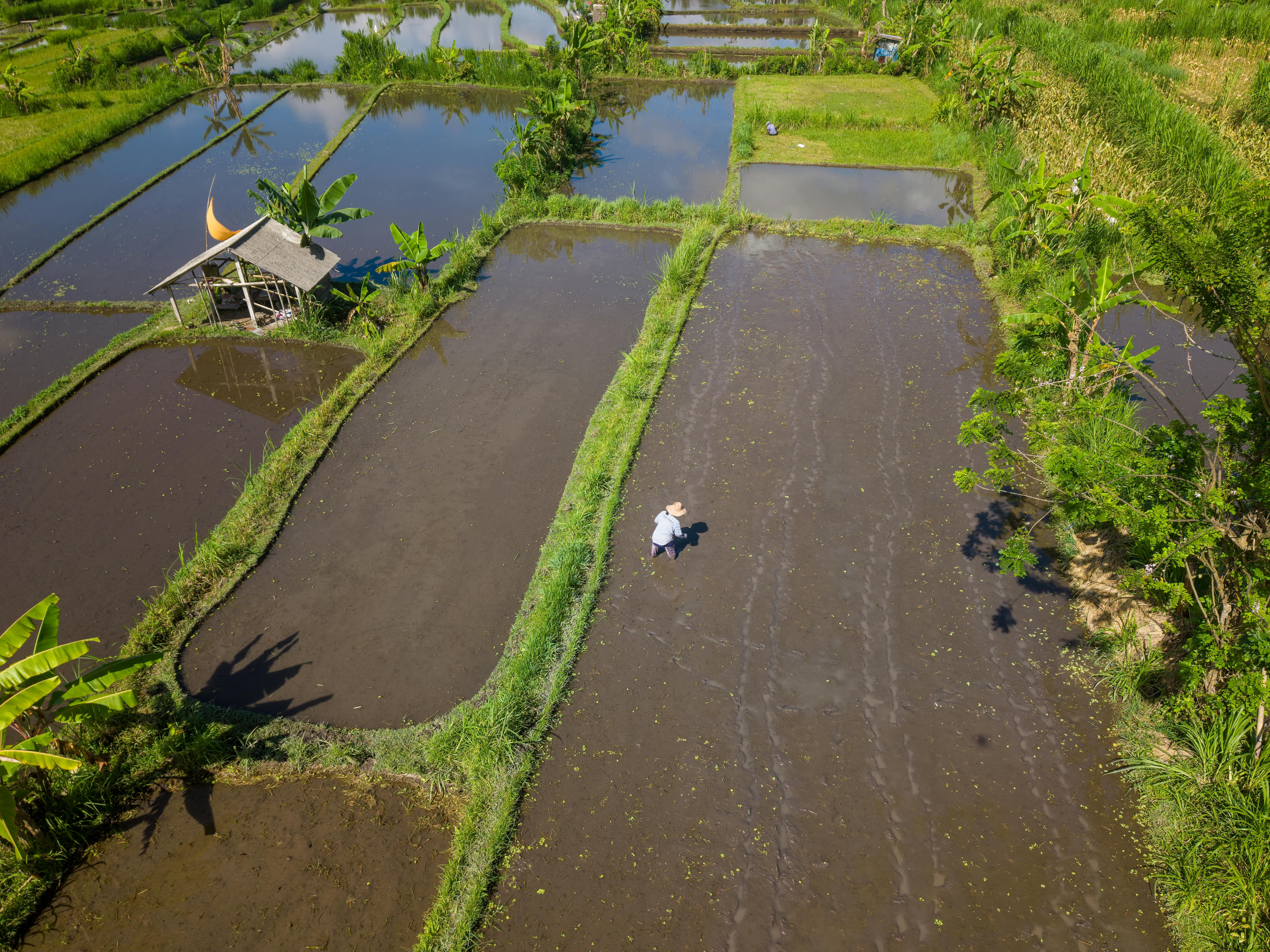 Governance Framework for Farm Tourism in Camarines Sur