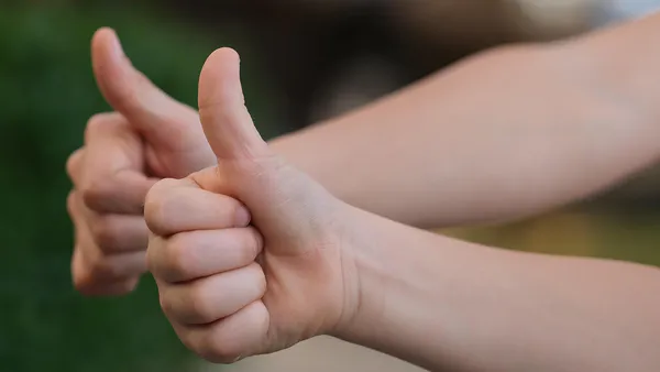 AI and the Inclusion of Deaf People in Brazil: A Qualitative Study