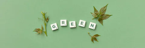 The Brussels Effect as a Mechanism for Promoting Global Sustainability: Analysis from a Governance Perspective