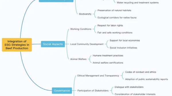 Sustainability Analysis in Beef Production in Goiás