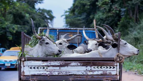 Effects Of Green Farming Practices/Environmentally Friendly Practices On Small Scale Agricultural Production In Kenya, A  Case Study In Siaya County.