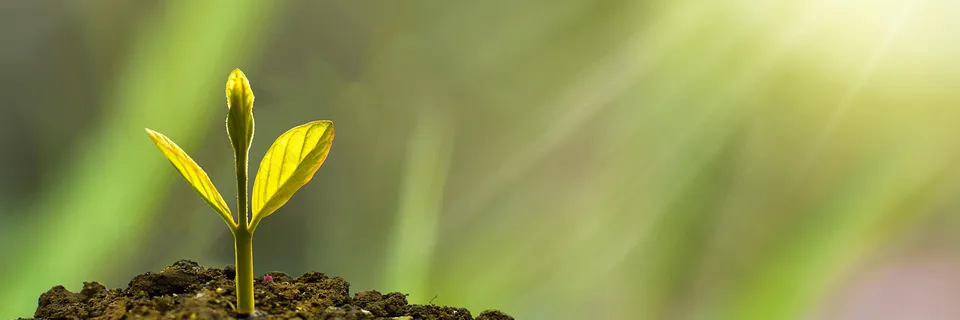 The Development of the Digital Economy in 2024 – Facts and Figures Banner