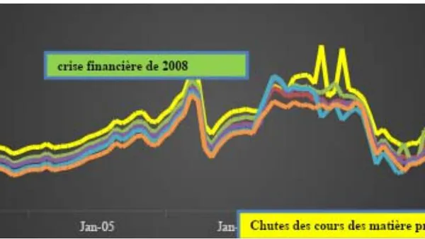 Role of Financial Stability in Synchronising Real and Financial Cycle in CEMAC