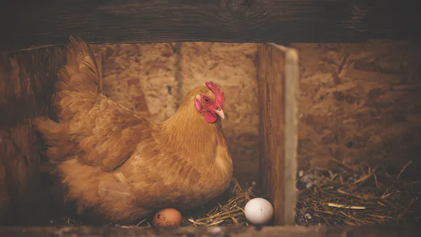 Analysis of Risk Management in Poultry Production Enterprises in Akwa Ibom State