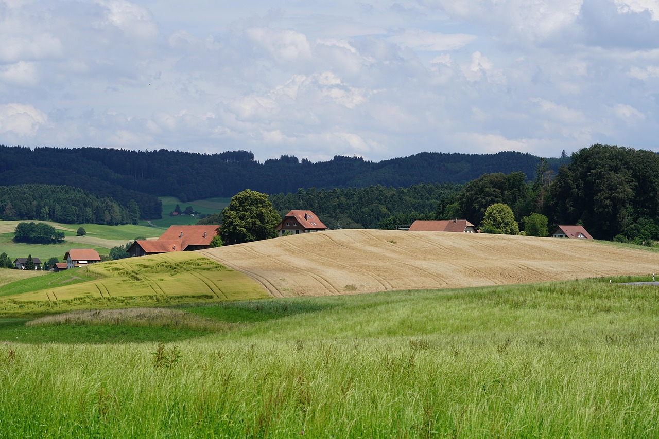 Religious Moderation based on Theological Value: A Qualitative Sociological Study in Islamic Boarding Schools (Pesantren) in Southeast Sulawesi Indonesia