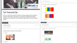 Colors and Metacognitive Strategies in PYLA an Illustrative Vocational Test