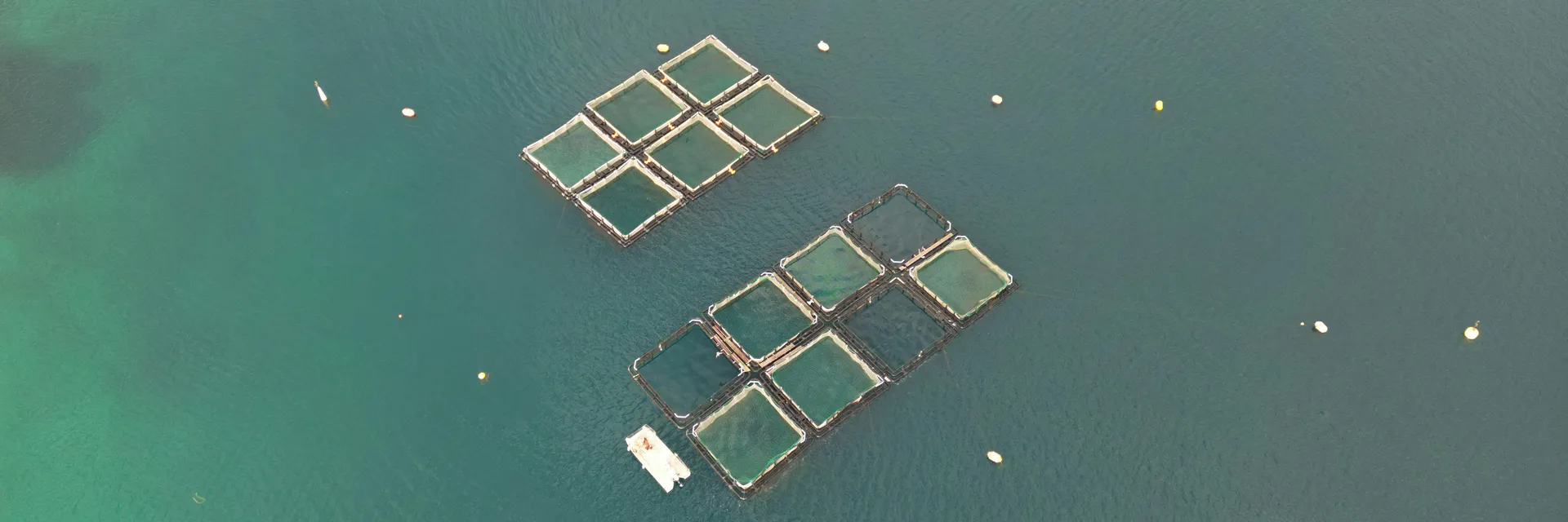 The Contribution of Fish Farming to the Socio-Economic Status of Fish Farmers in Ebonyi State, Nigeria Banner