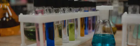 Chemopreventive Action of Compounds from Parmelia Perlata