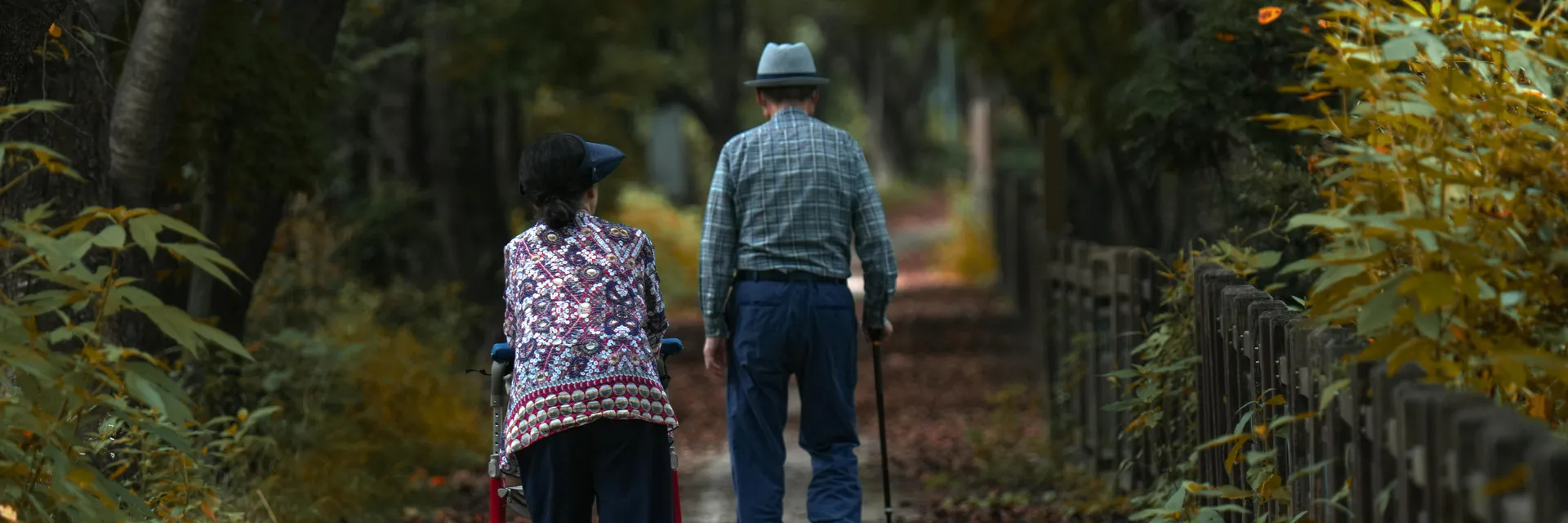 Questionnaire Survey Results on Lifestyle Habits (Drinking, Smoking, Suppliant Intake, Exercise Habits, Sleep Time) of 20 Elderly People Banner
