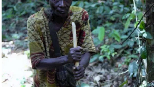 The Impact of Globalization in Response to Climate Change on the Indigenous People of Africa