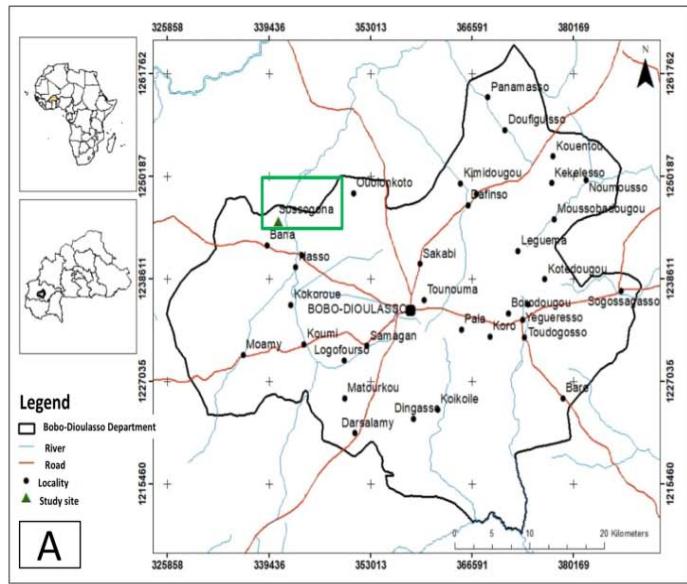 Effects of Cereal-Legume Intercropping and Mulching on Maize (Zea Mays L.) Productivity in Dry Season using Drip Irrigation in South-Sudanian Climatic Zone of Burkina Faso