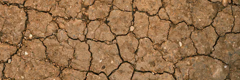 Long-Term Soil Fertility Changes Following Thermal Desorption to Remove Crude Oil are Favorable to Revegetation Strategies