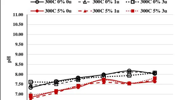 Long-Term Soil Fertility Changes Following Thermal Desorption to Remove Crude Oil are Favorable to Revegetation Strategies