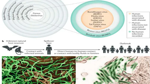 Ebola Virus Disease in sub-Saharan Africa: History, Contemporary Epidemiology and Recommendations