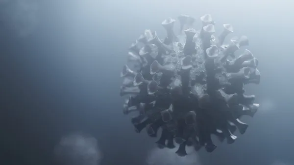 Global Big Challenge: The Mutant Novel Coronavirus New Stage