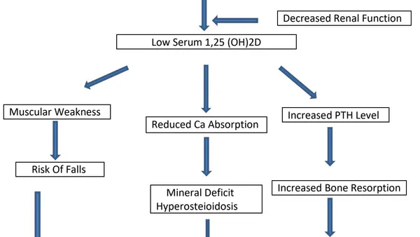 Musculoskeletal Complications Associated with Vitamin D Deficiency and Review of Current Interventions