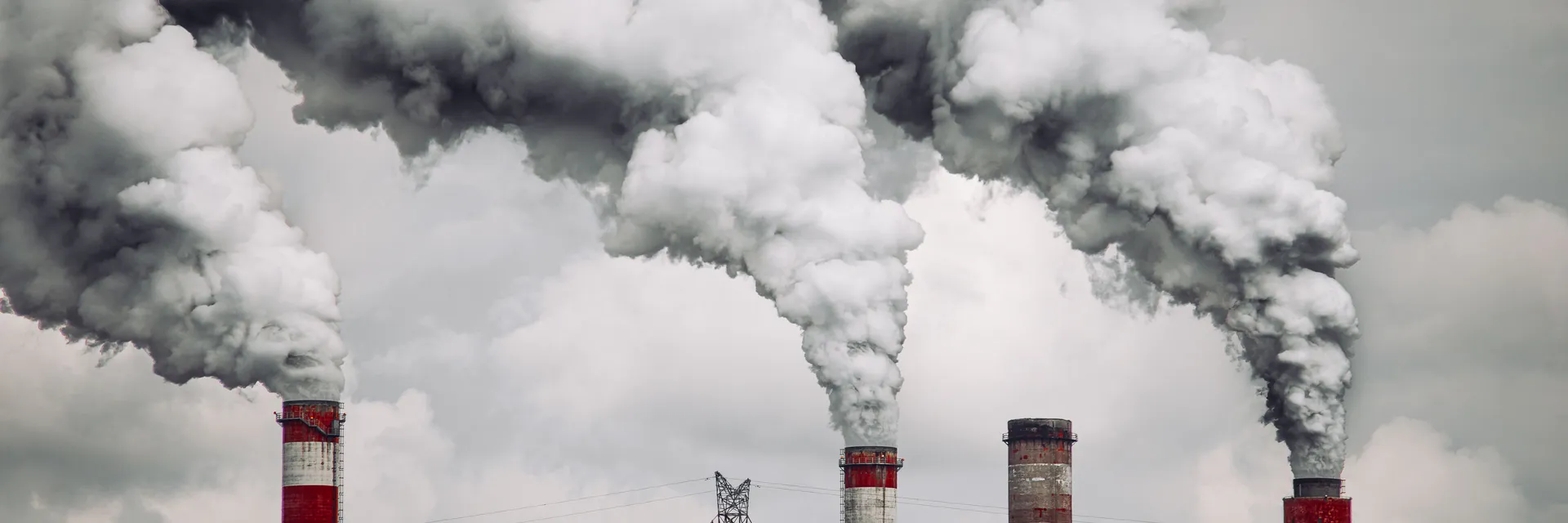 Global Environmental Pollution and its Effect on Life Expectancy Banner