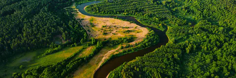 Management Objectives for Ecosystem Services Protection in  Nigeria