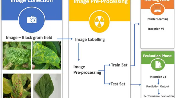 Advancing Black Gram (Vigna Mungo L.) Disease Diagnosis Through Deep Learning Techniques