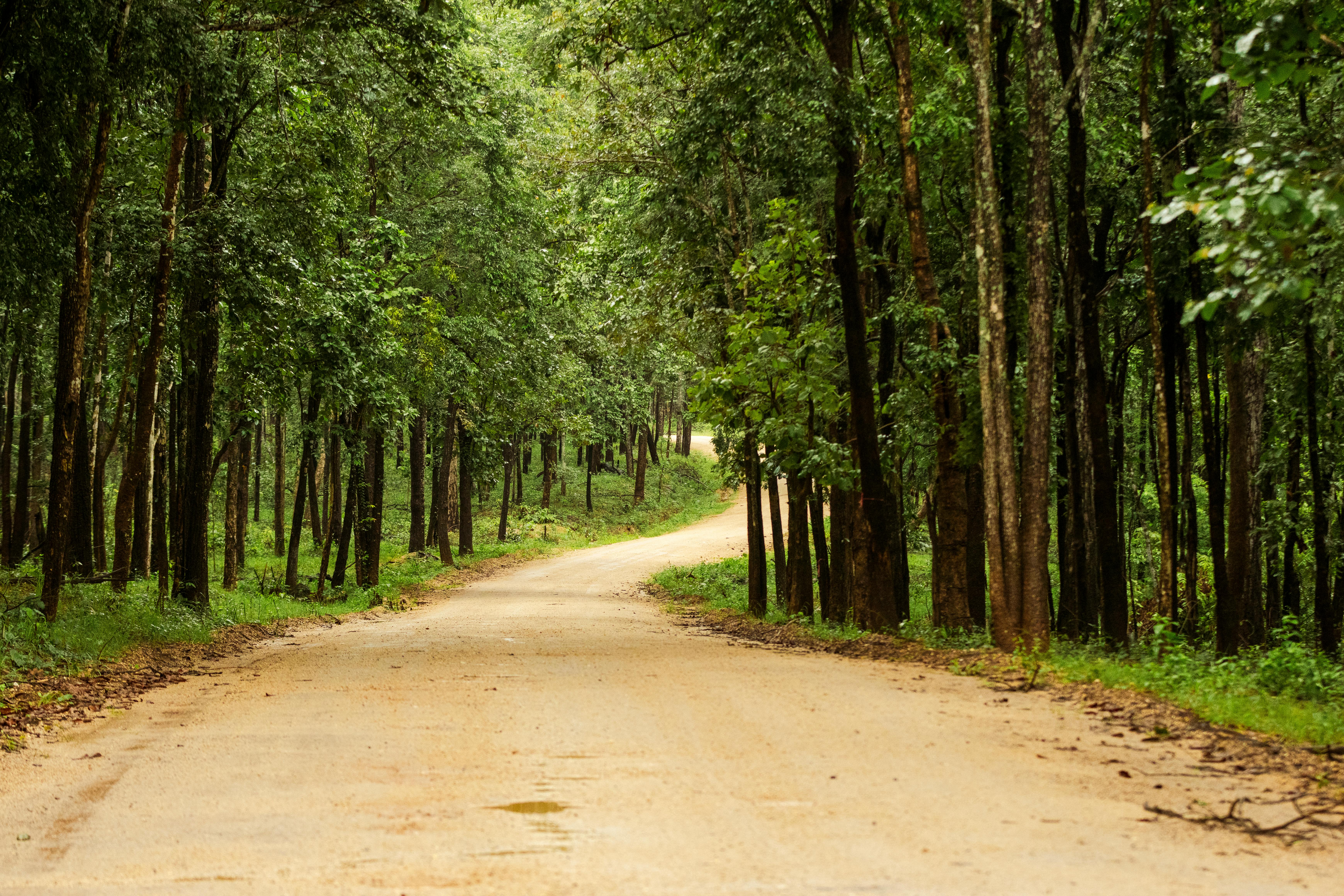 Economy between Necessity and Luxury. Business Ethics from Antiquity to Early Modern Times