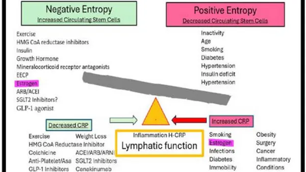 Entropy and the Lymphatic System, a New Model with Therapeutic Potential
