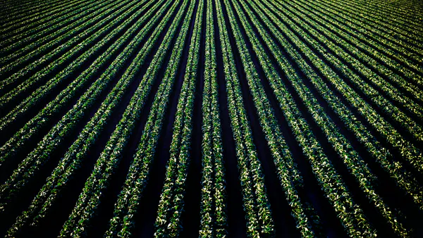 Extent, Levels and Suitability of ICT Usage for Agricultural Information Dissemination in Uganda: A Case of Rubanda, Mayuge Districts, and Mbarara City