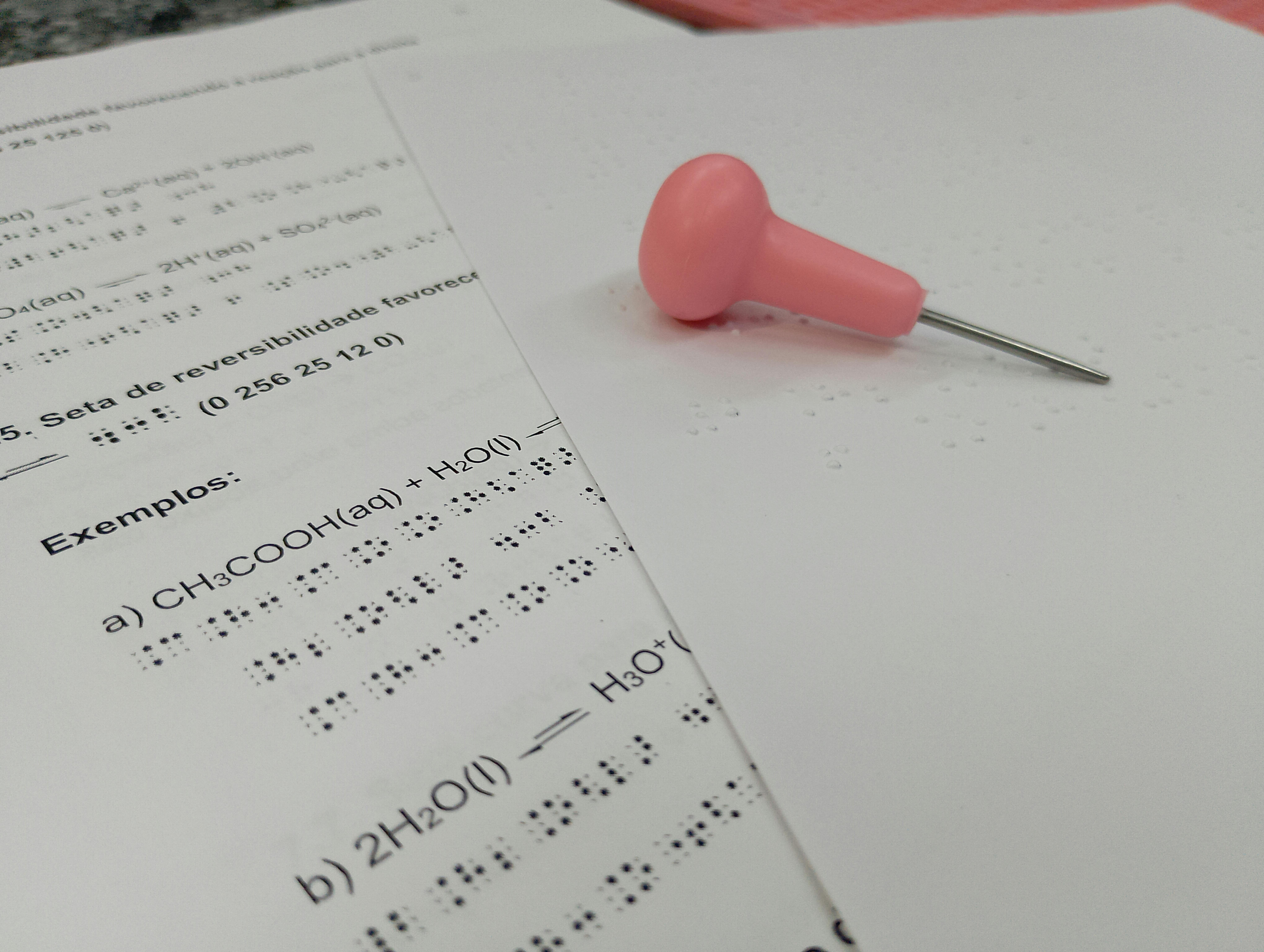 Autism Spectrum Disorder in Brazil: Advances, Challenges, and Paths  to Inclusion