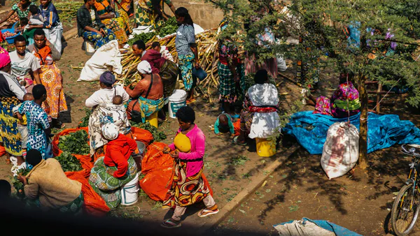 A Economia Informal Como Alternativa De Emprego Para As Famílias Angolanas. O Caso Dos Mercados Informais Do Bairro Das Cacilhas, Município Do Huambo E Bairro Paz Em Menongue.