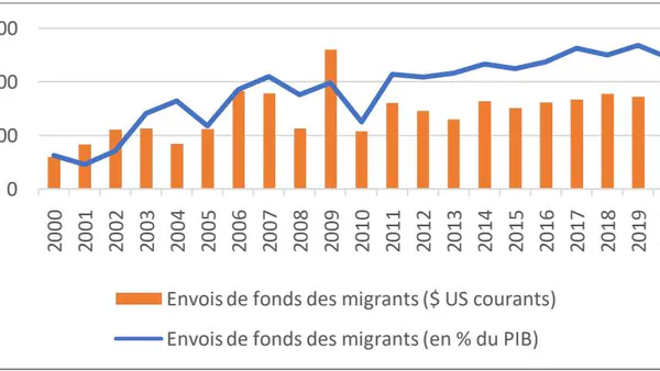 Do Remittances from International Migrants Improve Access to Healthcare for Households in Cameroon?