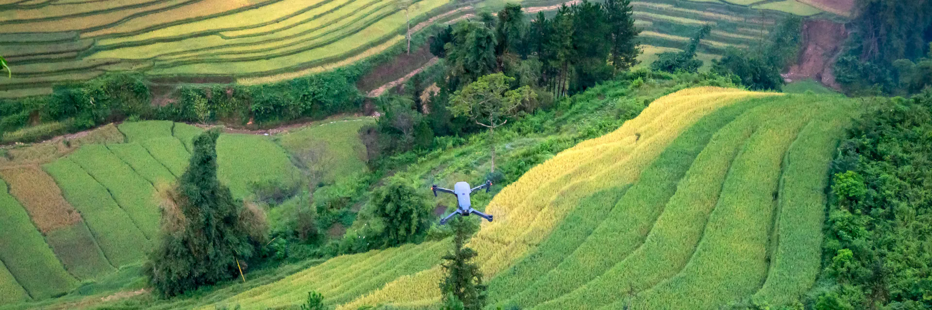 Data-Driven Knowledge Agriculture: A Paradigm Shift for Enhancing Farm Productivity and Global Food Security Banner