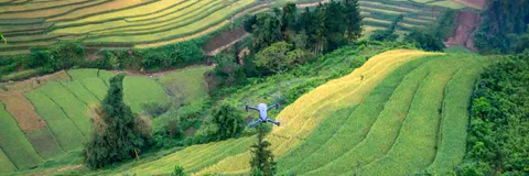 Data-Driven Knowledge Agriculture: A Paradigm Shift for Enhancing Farm Productivity and Global Food Security
